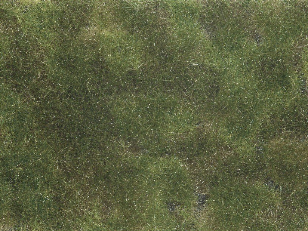 NOCH 07251 - Bodendecker-Foliage olivgrün