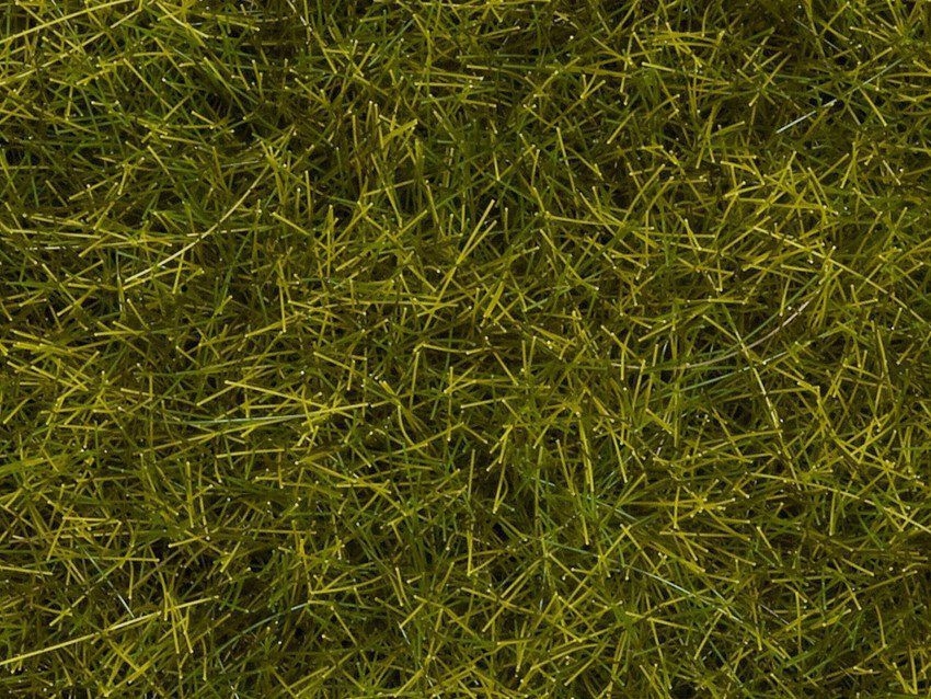 NOCH 07110 - Wildgras XL “Wiese”